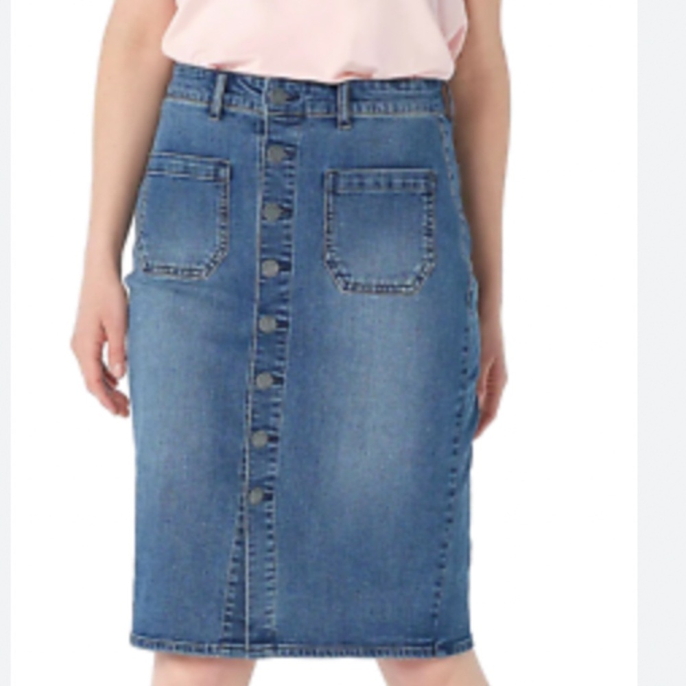 Haute Hippie Tribe Darcy Denim Skirt Womens 8 Button Down Knee Length